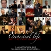 Orchestral Life: win the next audition!